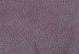  Soro: Soro-65